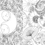 A Million Cats Coloring Book