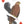 Field Guide to Dumb Birds Playing Cards