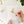 Backyard birds paintable notecards