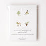Evergreen Christmas assorted notecard set