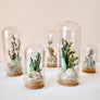 Beach Mix Mini Terrarium Crystal Ocean Dried Floral Bunch