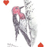 Field Guide to Dumb Birds Playing Cards