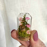Pink Flower Forest Mini Cloche Terrarium w. Dried Florals