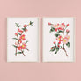 Cherry Blossoms Paint-By-Numbers kit