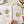 Garden watercolor workbook