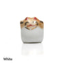 Super Tiny Cat K12-3028