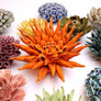 Ceramic Flowers Collection 12