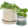 Minute Handmade Ceramic Planter Indoors Pot With Saucer