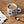 Danica Studio Domino Imprint Stoneware Mugs 12 oz