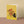 Vincents Sunflower Vase Cat Card