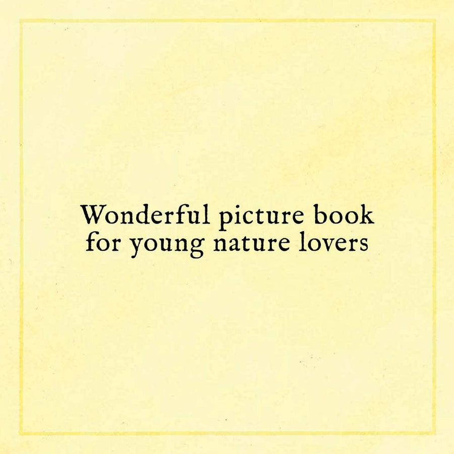 When You Find the Right Rock