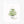 Evergreen Christmas assorted notecard set