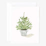 Evergreen Christmas assorted notecard set