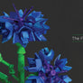 LEGO Botanical Almanac