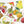 Citrus Fruits watercolor painting kit