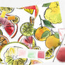 Citrus Fruits watercolor painting kit