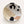 Abstract Form Plateau White