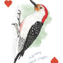 Field Guide to Dumb Birds Playing Cards