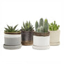 Minute Handmade Ceramic Planter Indoors Pot With Saucer