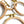 Round Beechwood Hoop 3"/4"/5"/6"/7"/8"/9"/11"/12"