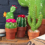 Small Prickly Pear Cactus