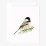 Evergreen Christmas assorted notecard set