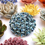 Ceramic Flowers Collection 12