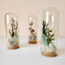 Beach Mix Mini Terrarium Crystal Ocean Dried Floral Bunch