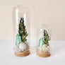Beach Mix Mini Terrarium Crystal Ocean Dried Floral Bunch