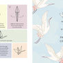 Paper Crane a Day