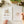 Woodland watercolor workbook