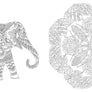 Millie Marotta's Wildlife Wonders Coloring Book