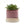 Minute Handmade Ceramic Planter Indoors Pot With Saucer
