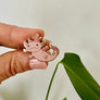 Axolotl Pin, Fantasy Gift, Stocking Stuffer