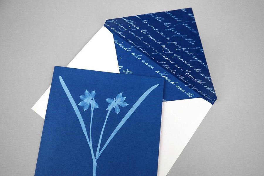 Sunprint Notecards