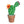 Small Prickly Pear Cactus