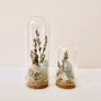 Beach Mix Mini Terrarium Crystal Ocean Dried Floral Bunch