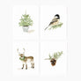 Evergreen Christmas assorted notecard set