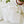 Potted plants paintable watercolor notecard set