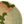 Restorative Woven Bowl - 12" Tierra Abstract