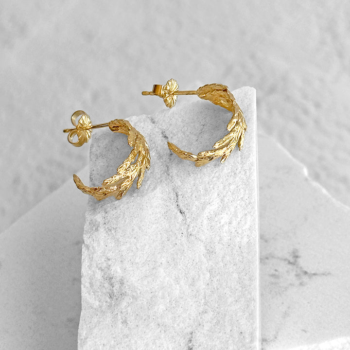 Cypress Hoop Earrings