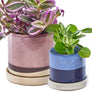 Minute Handmade Ceramic Planter Indoors Pot With Saucer