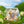 DIY Miniature House Kit: Dreamy Garden House