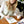 Sunflower Garden Paint-By-Numbers kit