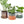 Minute Handmade Ceramic Planter Indoors Pot With Saucer