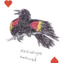 Field Guide to Dumb Birds Playing Cards