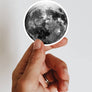 Disco Moon Sticker