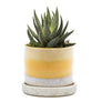 Minute Handmade Ceramic Planter Indoors Pot With Saucer