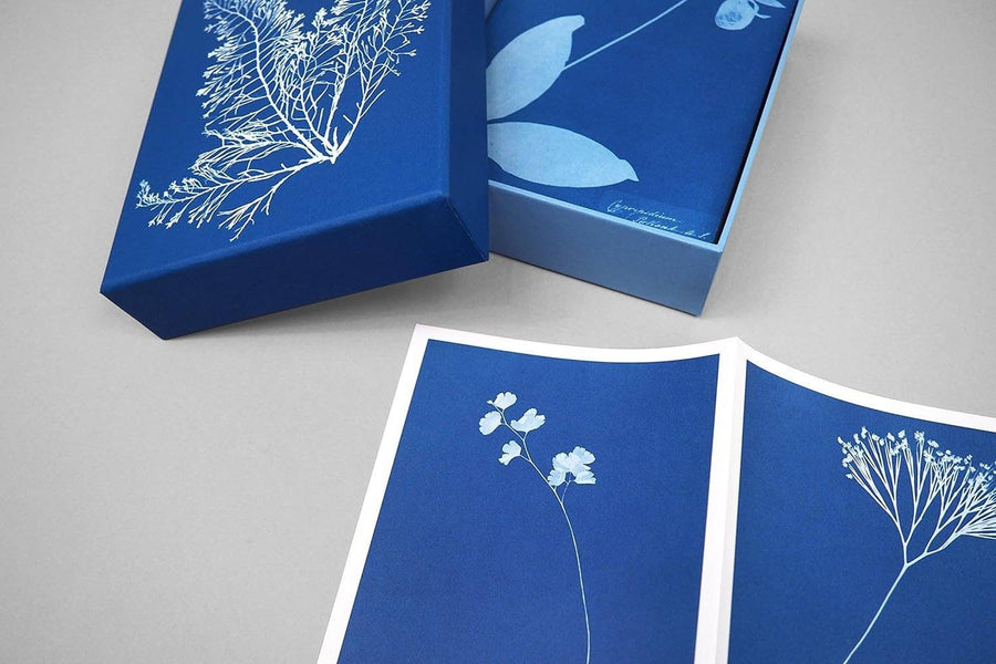 Sunprint Notecards