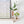 Reversible Glass Vase - Small: Peach/Cobalt